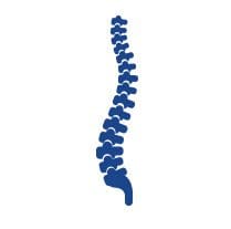 Chiropractic services Burlington