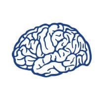 Concussion Management Burlington