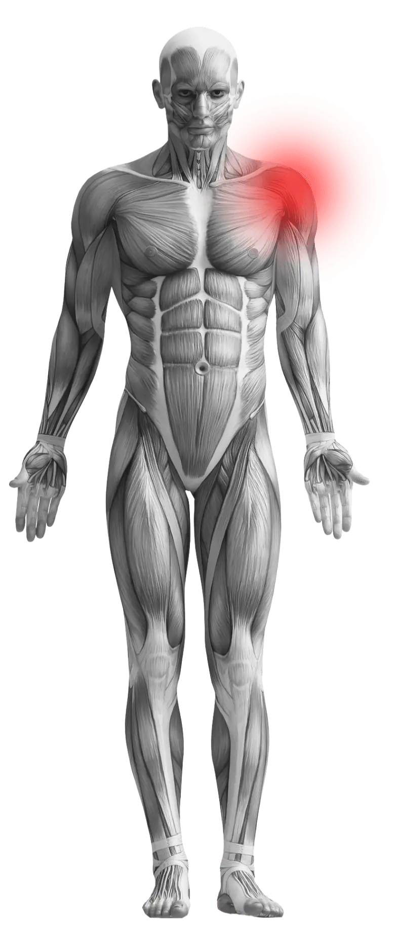 Sheddon Physiotherapy and Sports Clinic Burlington. BOOK NOW