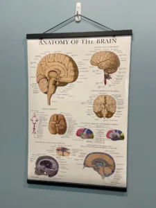 concussion blog 3