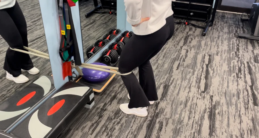 Meniscus Sheddon Physio Burlington