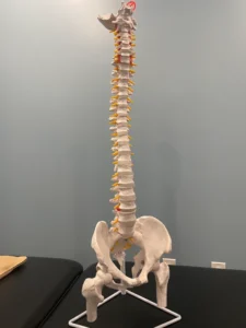 How sedentary lifestyles affect your spine